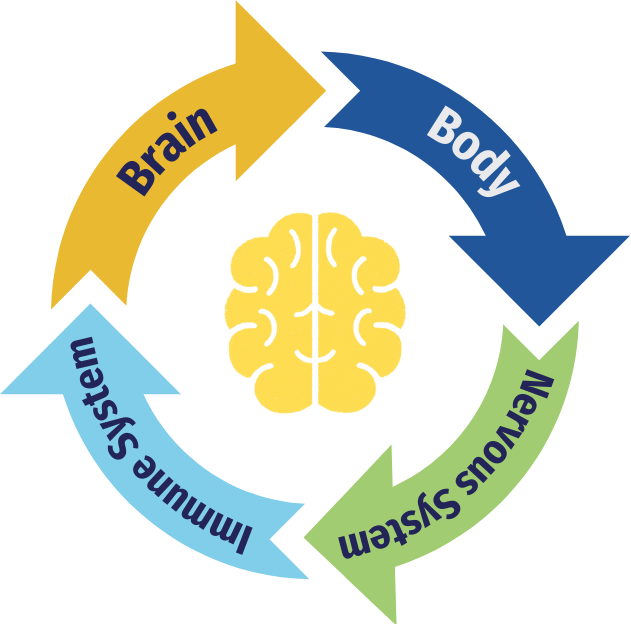 Gráfico que muestra que el cerebro, el cuerpo, el sistema nervioso y el sistema inmunológico están todos conectados. 