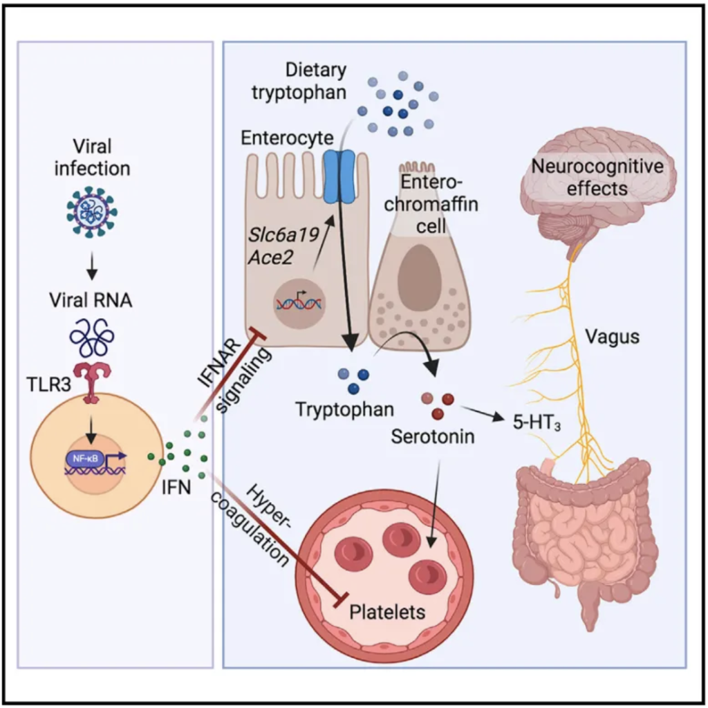 ID: Wong et al., 2023, Cell 186, 4851–4867. PMID: 37848036